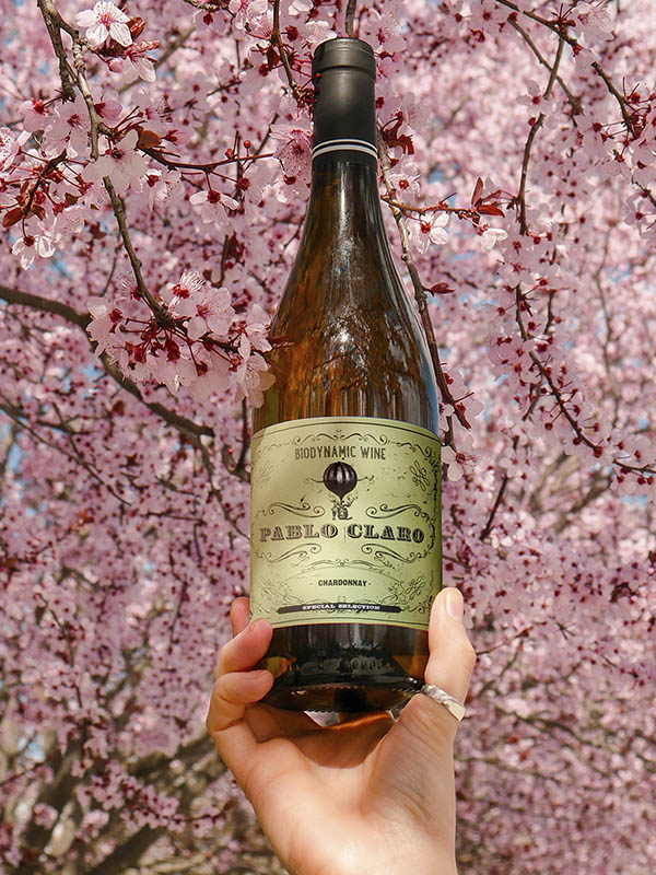 pablo claro chardonnay vino blanco