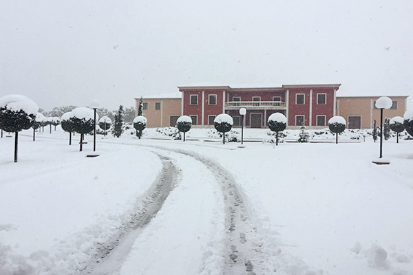 nieve bodega dominio punctum invierno