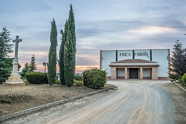 viñedo bodega dominio de punctum finca fabian